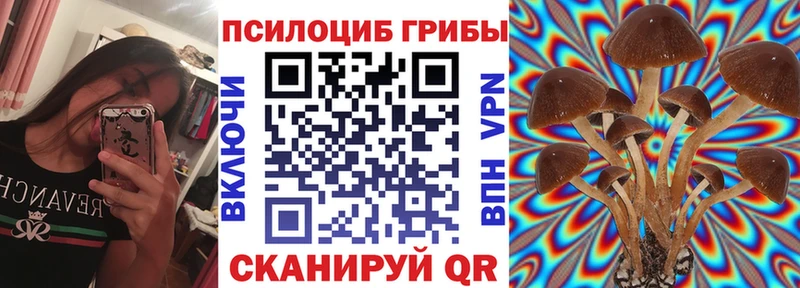 Купить  Инза  Галлюциногенные грибы Psilocybe 